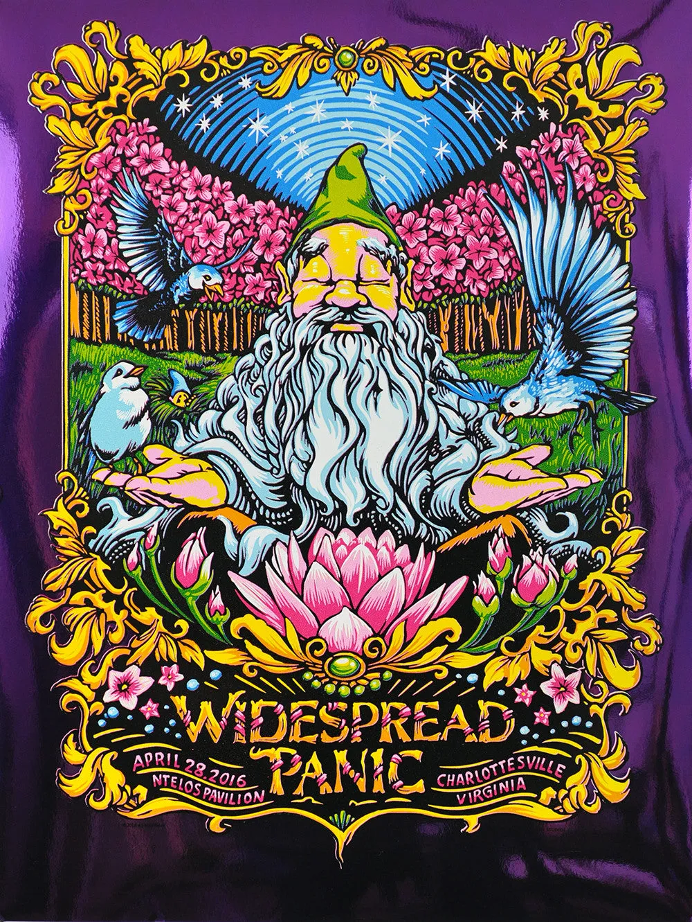 AJ Masthay "Widespread Panic - Charlottesville, VA" Purple Foil