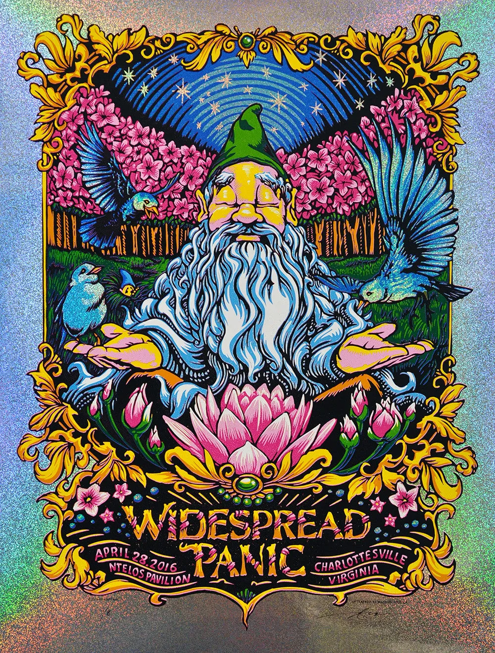 AJ Masthay "Widespread Panic - Charlottesville, VA" Sparkle Foil