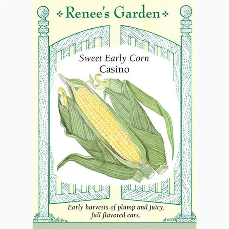 Casino Sweet Early Corn Seeds